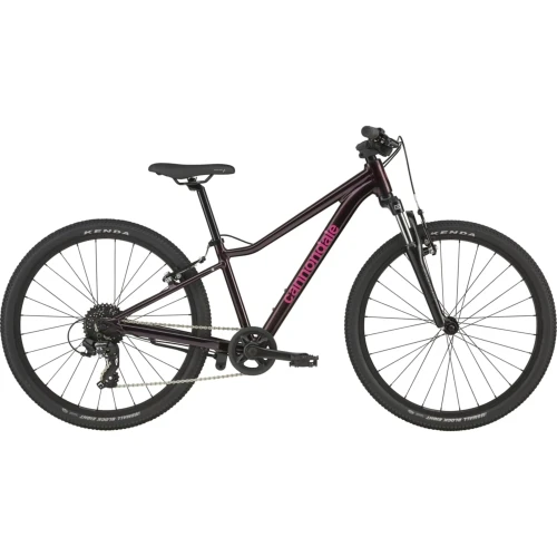 e-velomania20261022202611428586