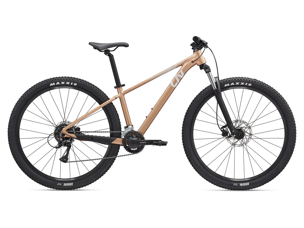 ebikeserwis20261022152724369569