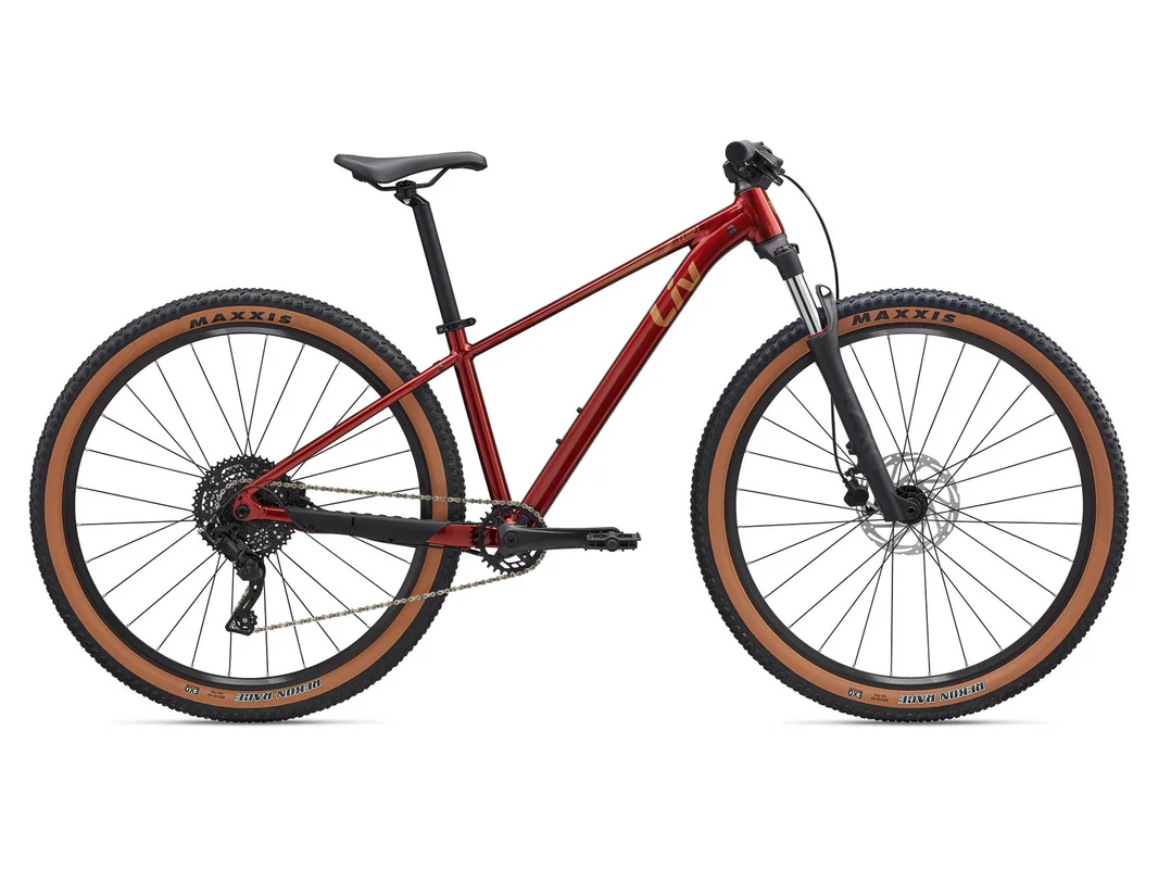 ebikeserwis20261022152732369585