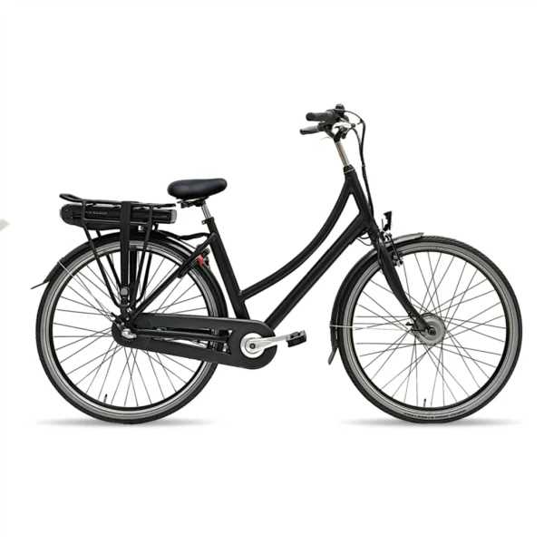 hollandbikeshop-220261023000931466370