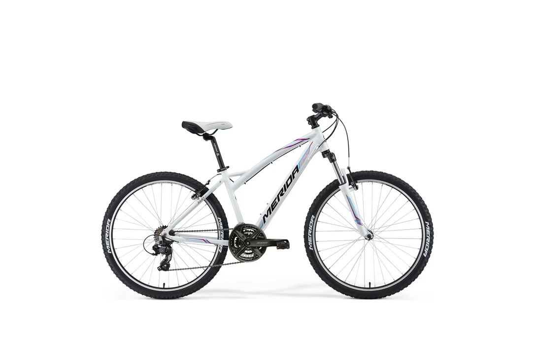 rowerzysta20261022115444328879