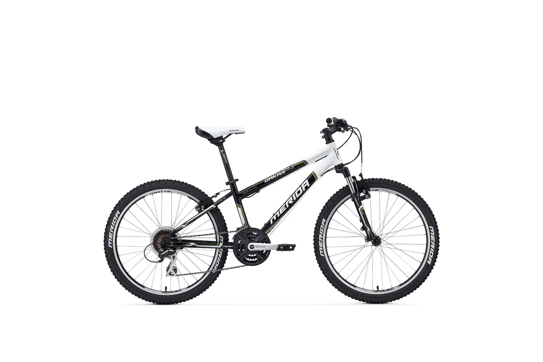 rowerzysta20261022121110331992