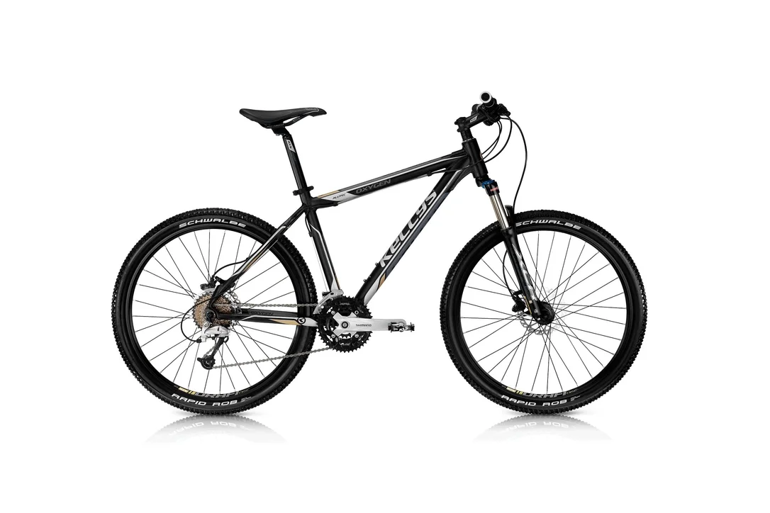 rowerzysta20261022124239338117