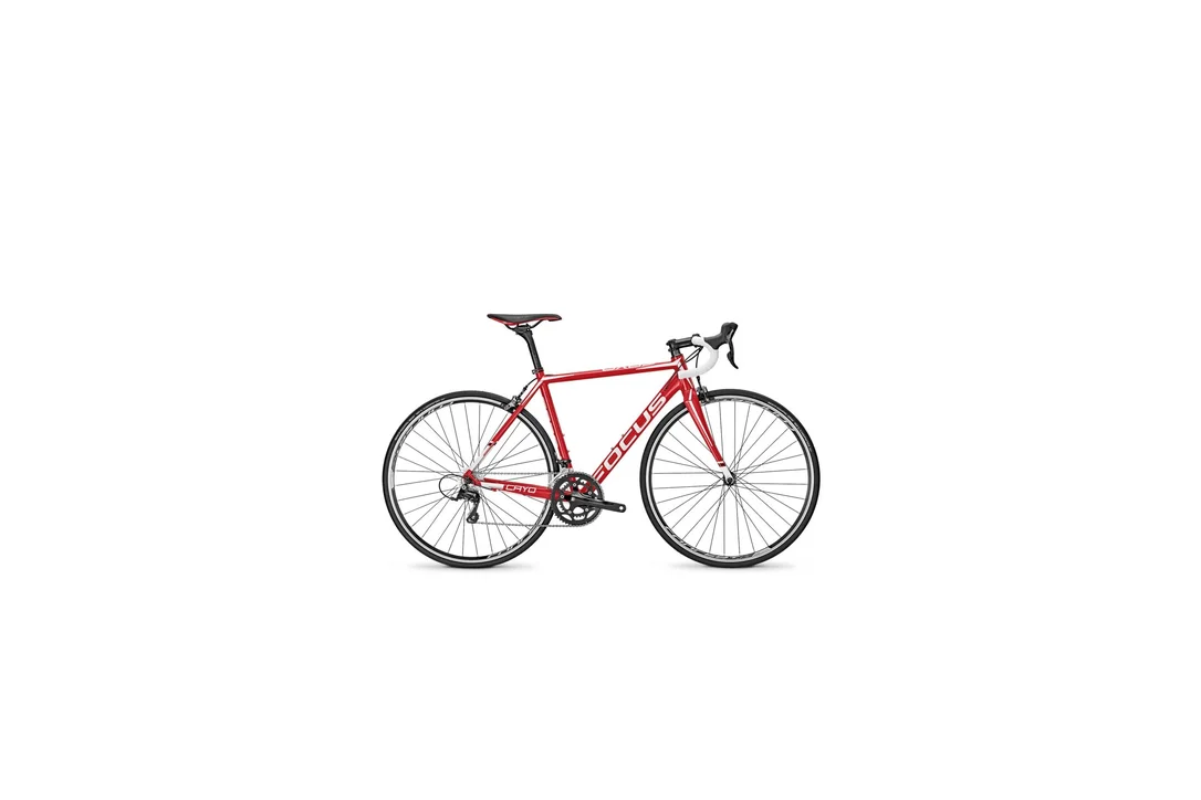 rowerzysta20261022140556354014