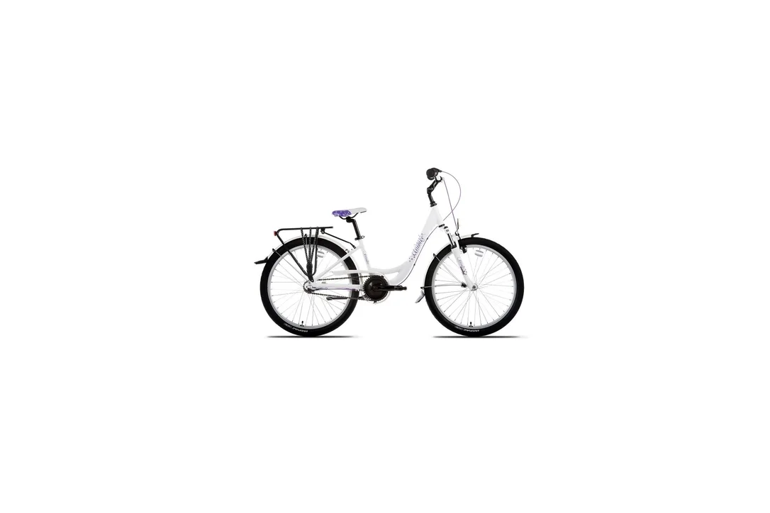 rowerzysta20261022154847373439