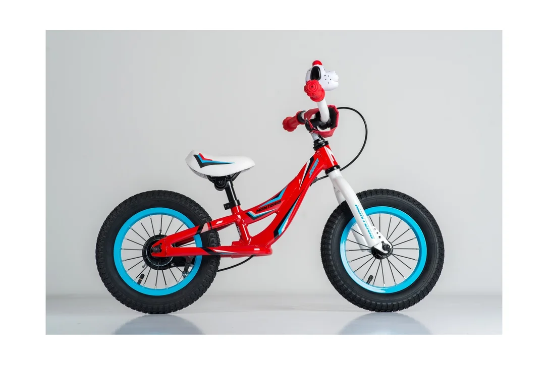 rowerzysta20261022164125383928