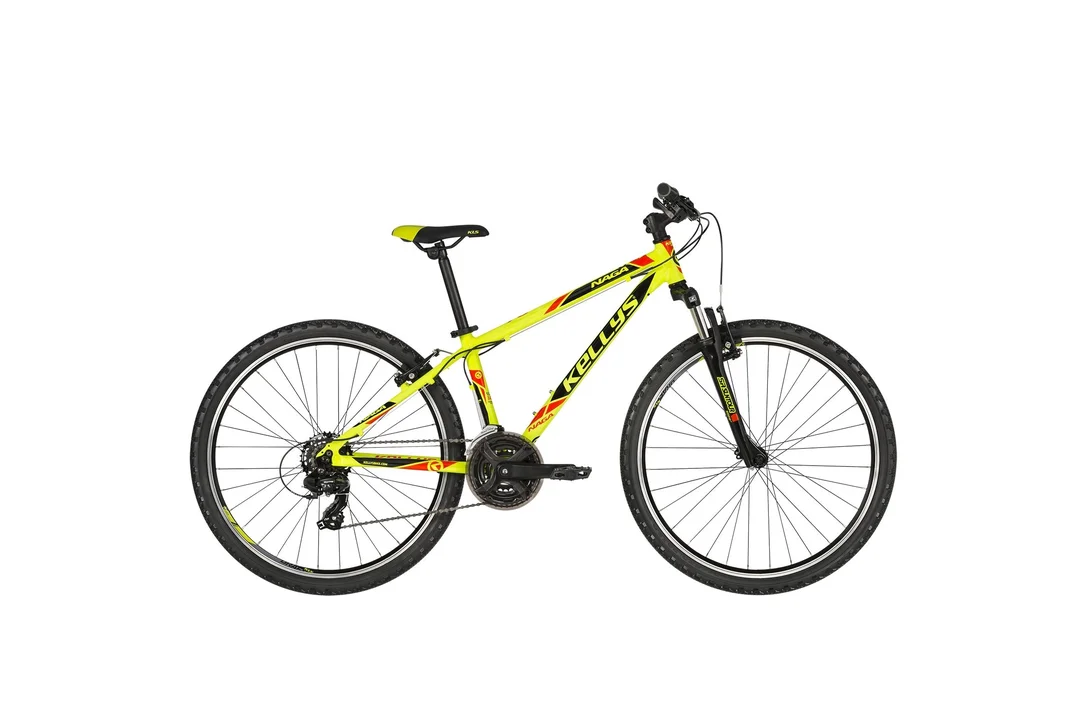 rowerzysta20261022171022389852
