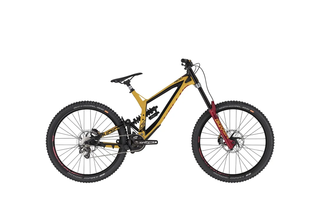 rowerzysta20261022175012398347