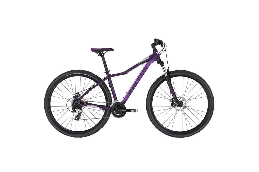 rowerzysta20261022175444399263