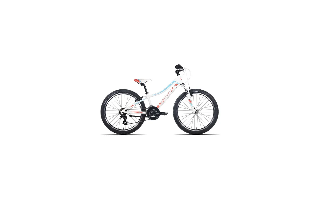 rowerzysta20261022181922403868