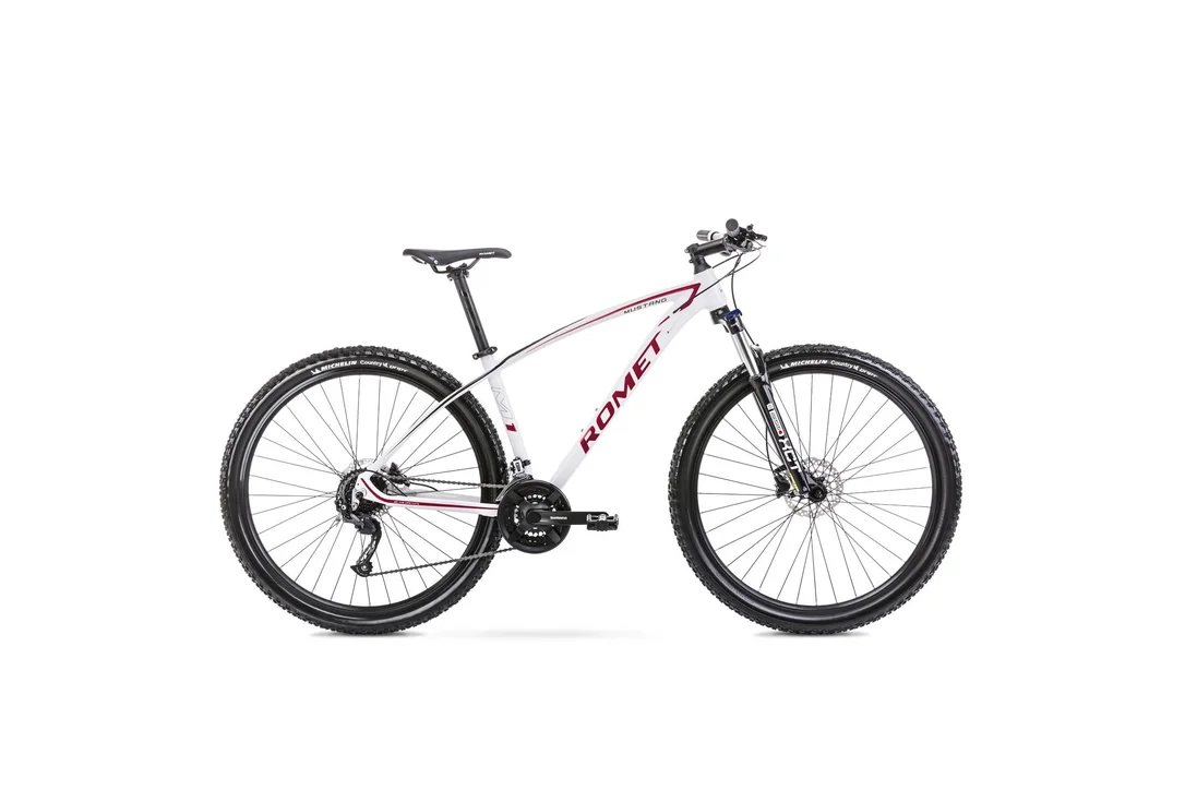 rowerzysta20261022183340406813