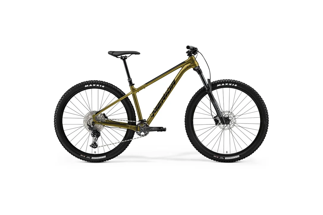 rowerzysta20261022192403416924
