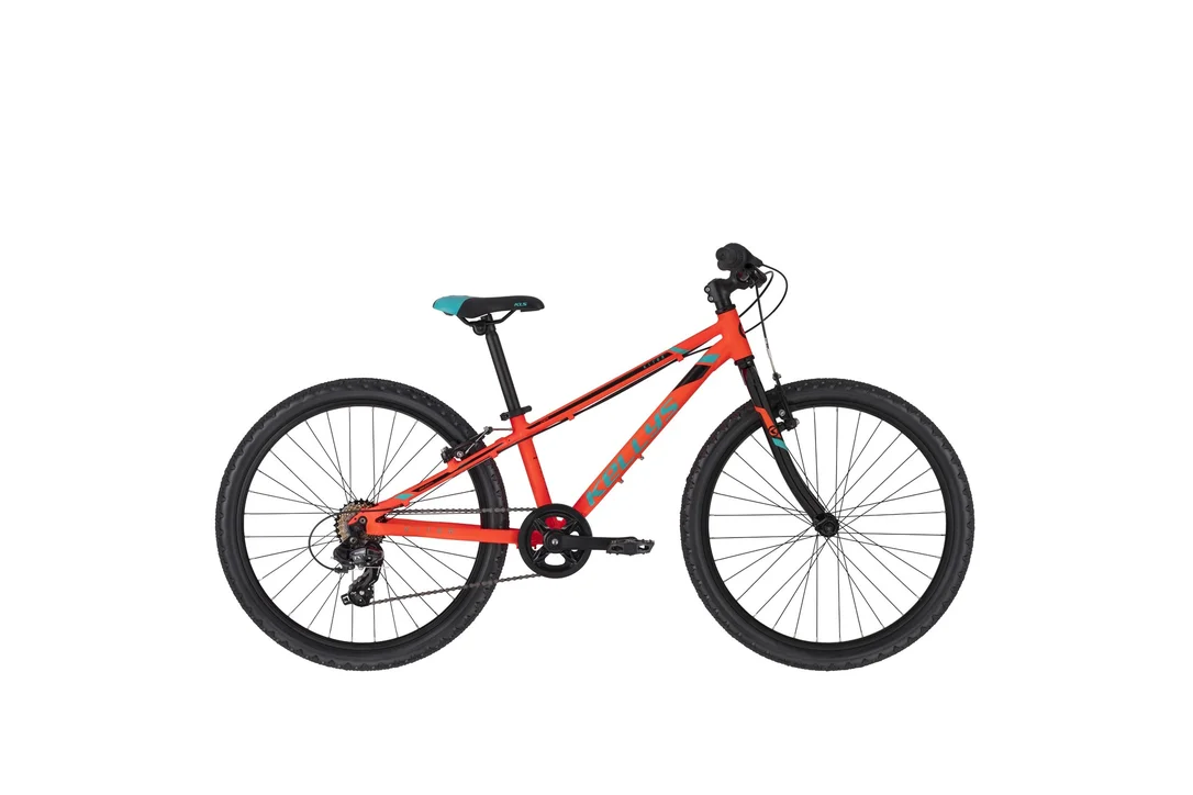 rowerzysta20261022193416418887