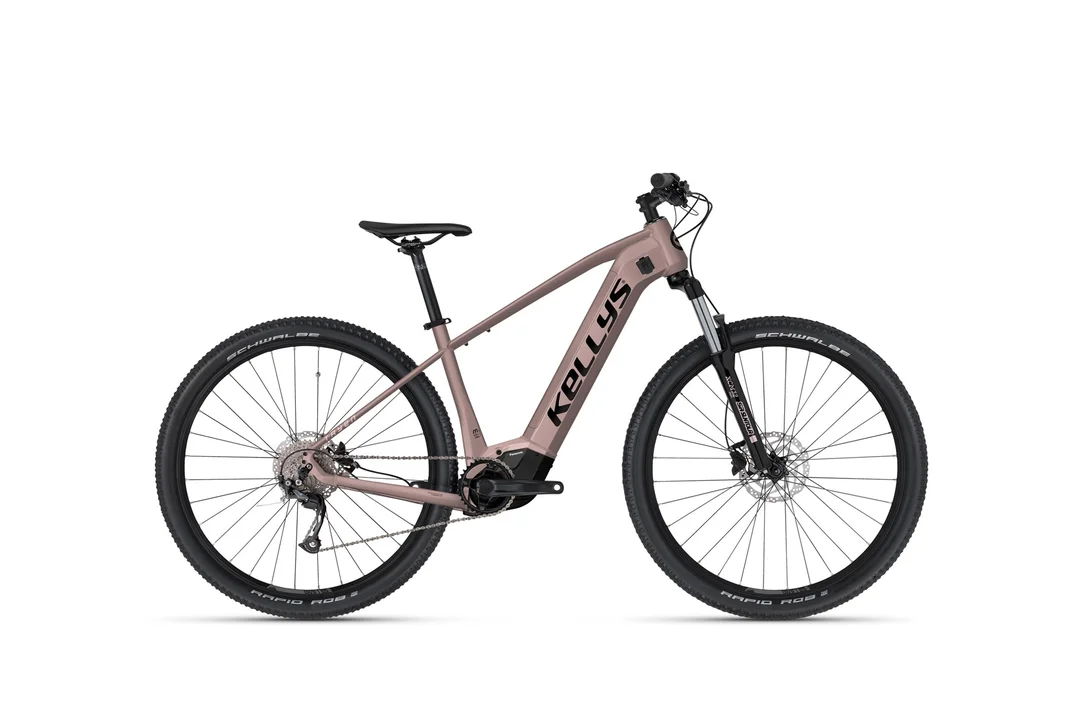 rowerzysta20261022213204440625