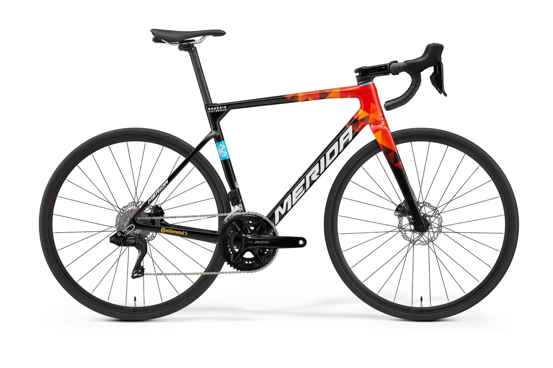 rowerzysta20261022220023445268