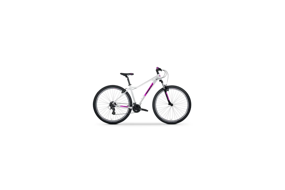 rowerzysta20261022223950451480