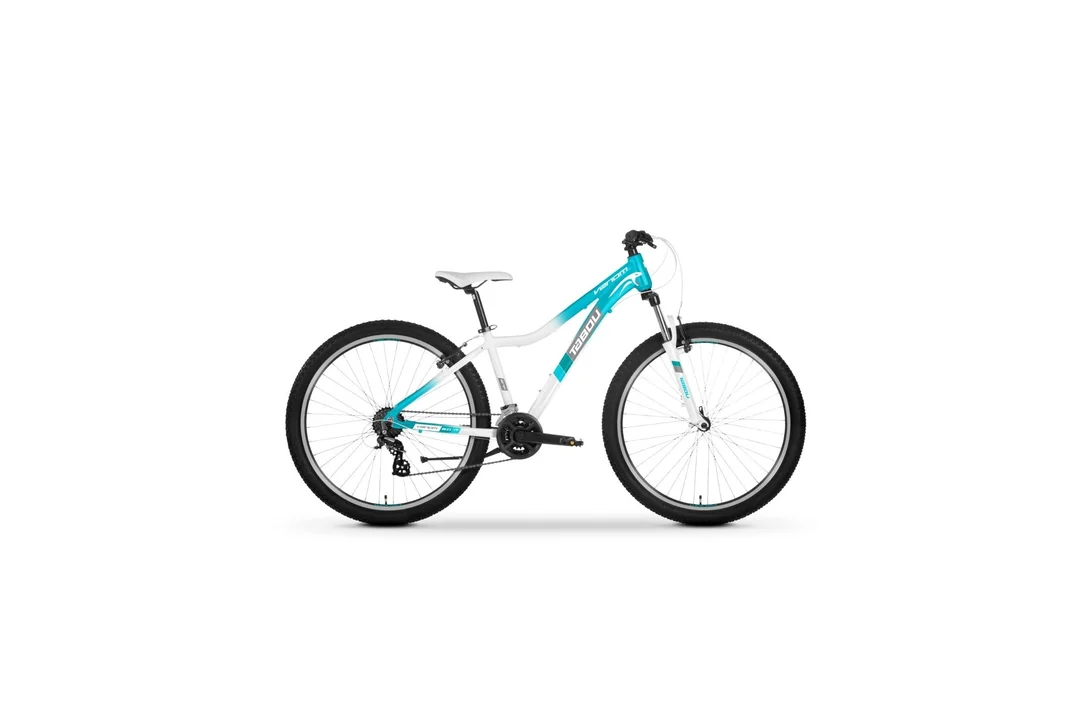 rowerzysta20261022225949454407