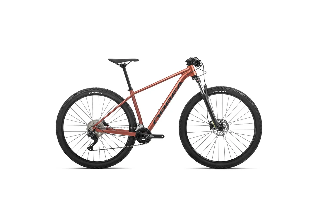 rowerzysta20261022234723462578