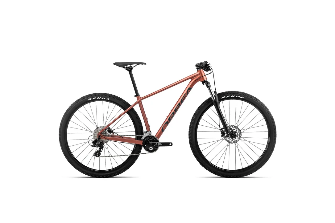rowerzysta20261022234758462676