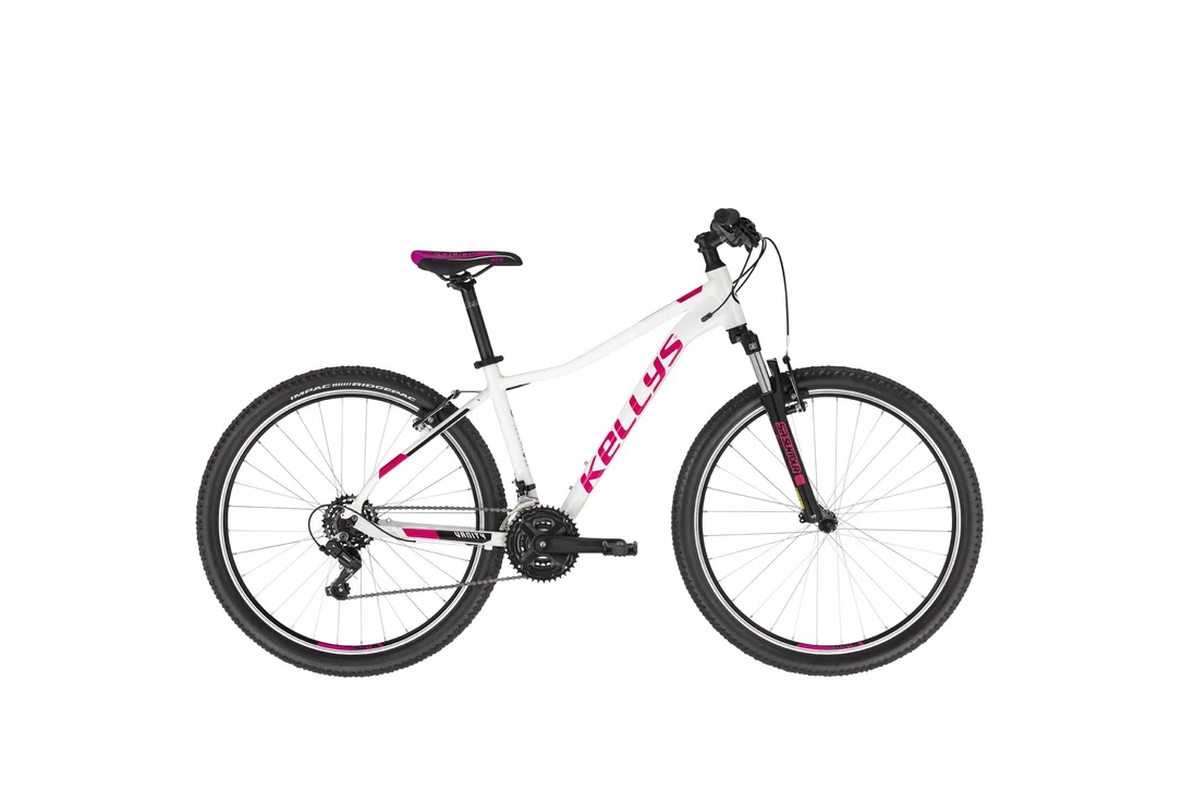 rowerzysta20261022235157463411