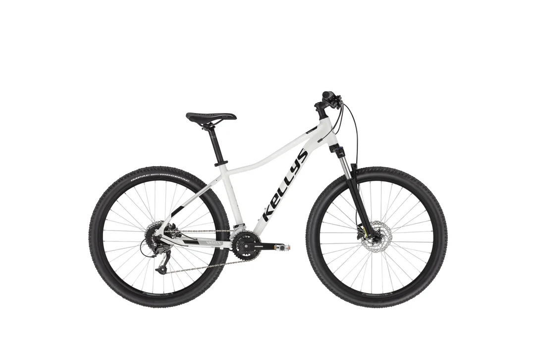 rowerzysta20261022235238463532