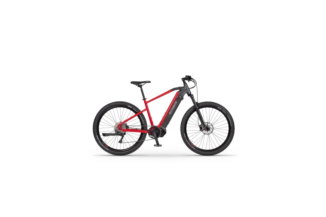 rowerzysta20261023000710465992