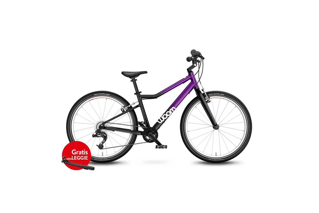 rowerzysta20261023000724466025