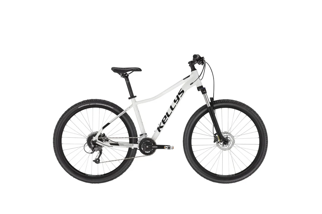 rowerzysta20261023005303473440