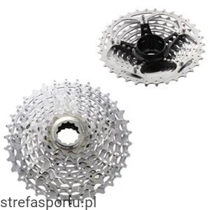 strefasportu20261022160834377537